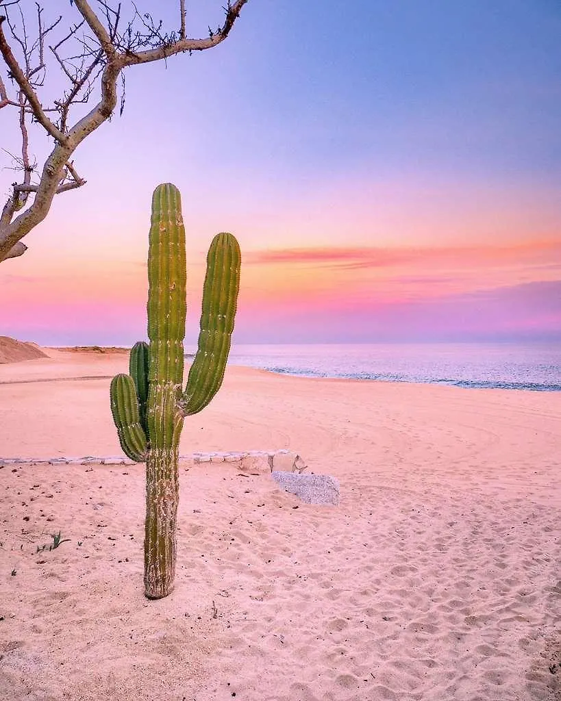 קאבו סן לוקאס Park Hyatt Los Cabos At Cabo Del Sol מלון קאבו סן לוקאס